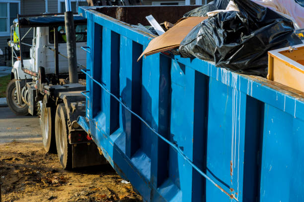 Shed Removal